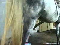 Amazing horse fucking MILF takes thick knob in her slit